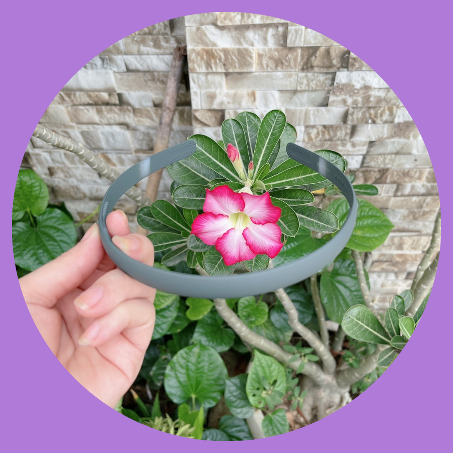 Cài Tóc Nhựa Bản To 1,2cm Cho Nữ