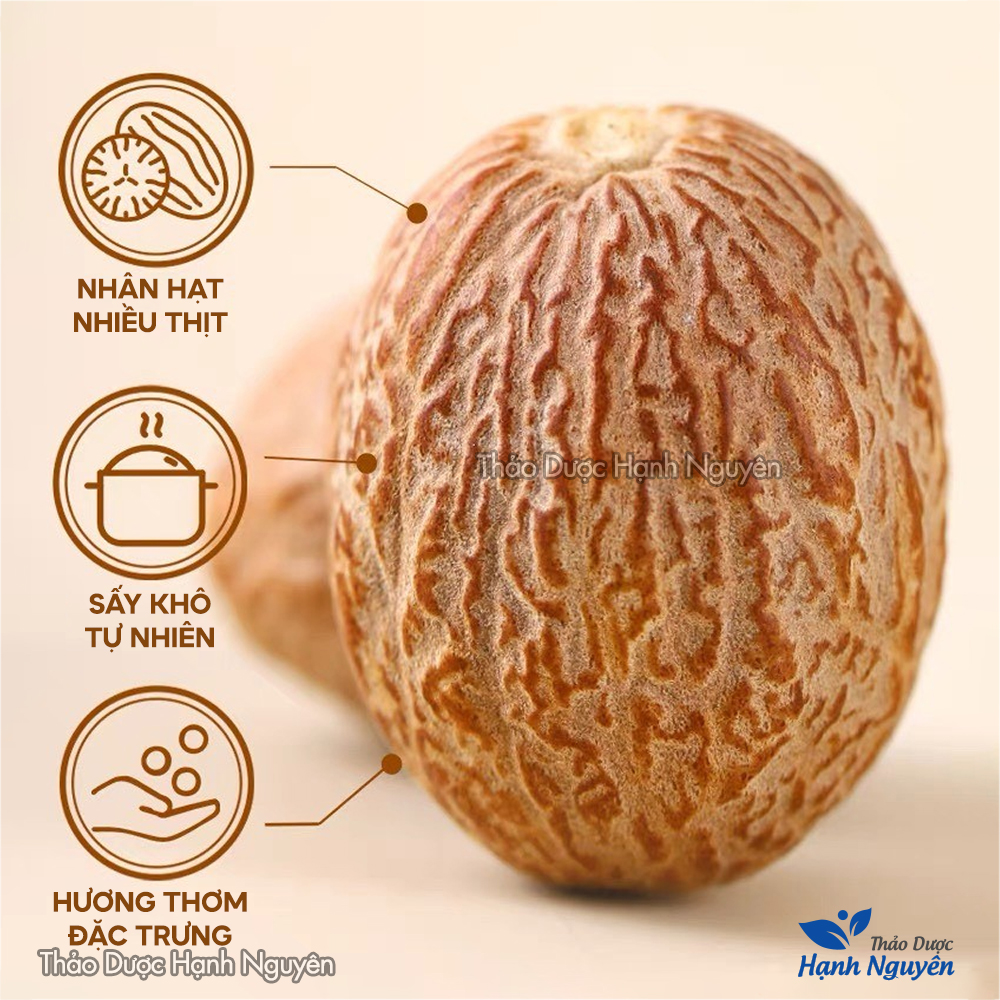 Nhục đậu khấu khô 1kg, nutmeg, hạt to, gia vị nấu ăn, hỗ trợ tiêu hóa, giảm đau nhức xương khớp