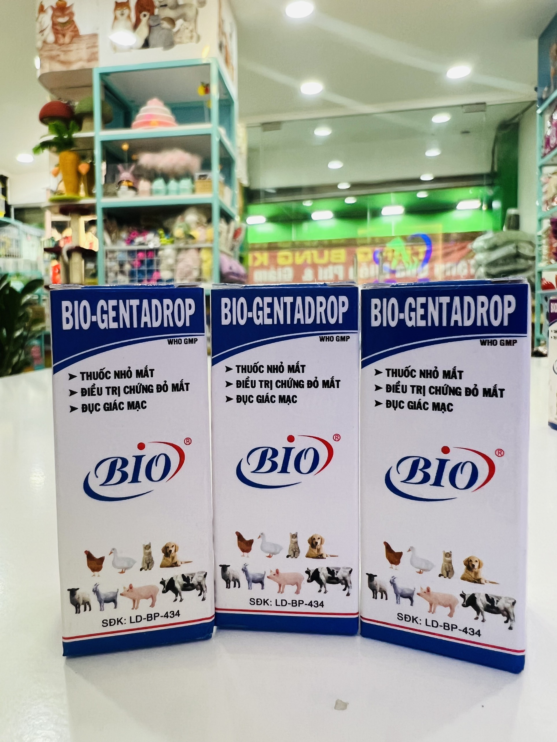 Nhỏ mắt cho chó mèo Bio Genta Drop