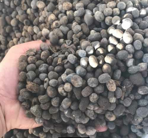 1KG PHÂN DÊ ĐÃ QUA XỬ LÝ