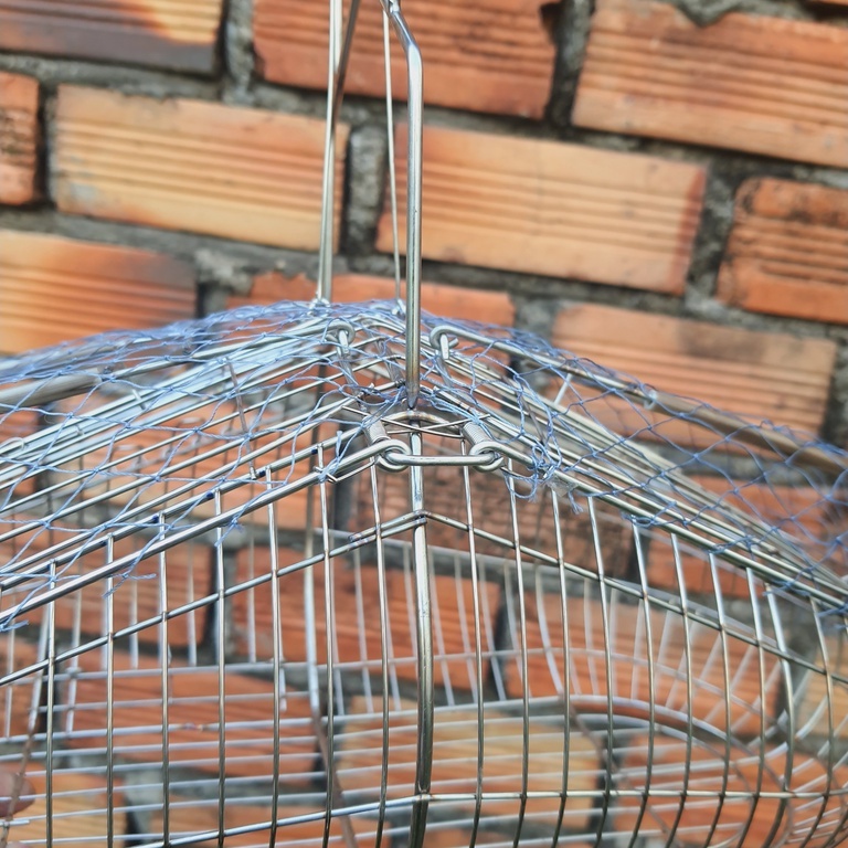 Lồng Bẫy INOX Chào Mào, Chòe Than