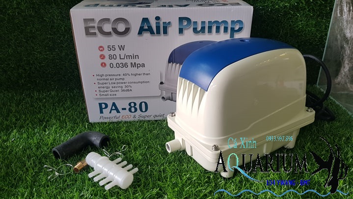 Máy sủi oxi JECOD PA 80 công suất lớn