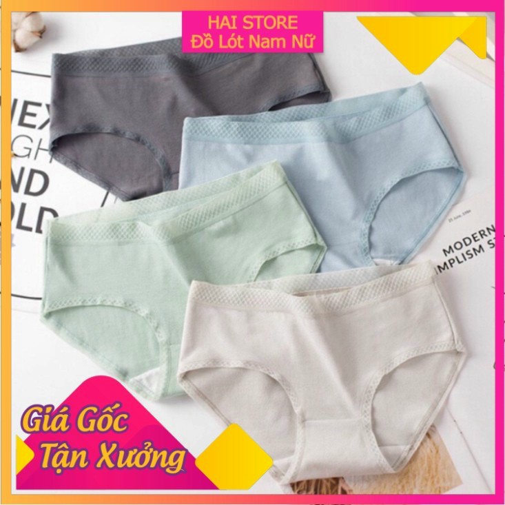 COMBO 10 QUẦN LÓT COTTONG CẠP LƯỚI SIÊU CAO CẤP