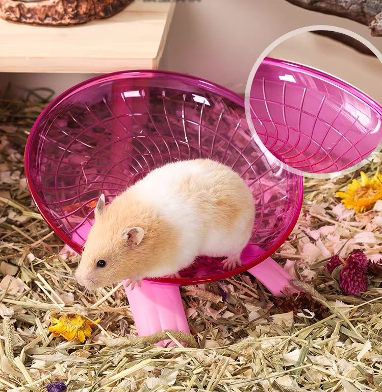 wheel Parapol carno (Dĩa Bay) dành cho hamster - T3 PETS SHOP