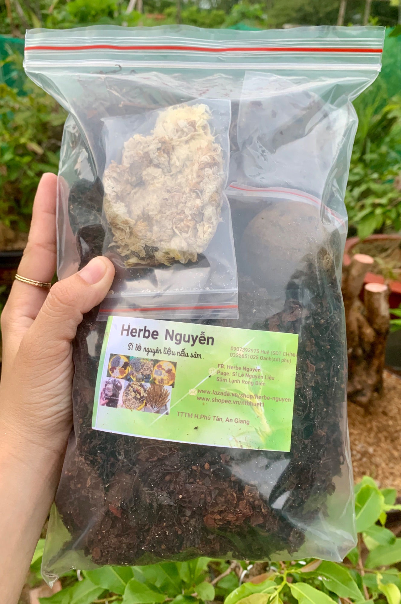 Combo 10 PHẦN- Sâm lạnh rong biển herbe nguyễn