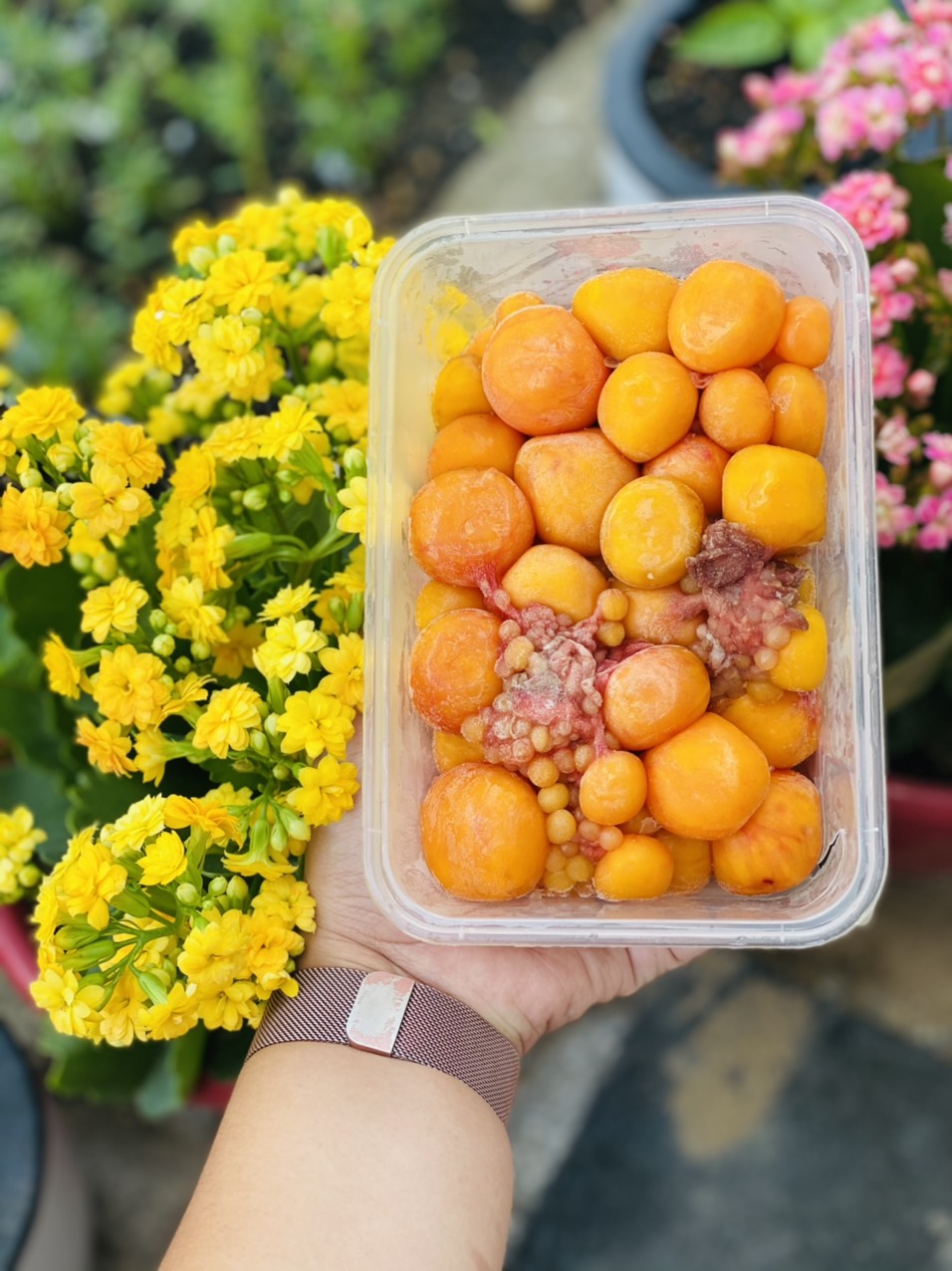 [GIAO NHANH 2H HCM] Giá sỉ 1Kg Trứng Gà Non