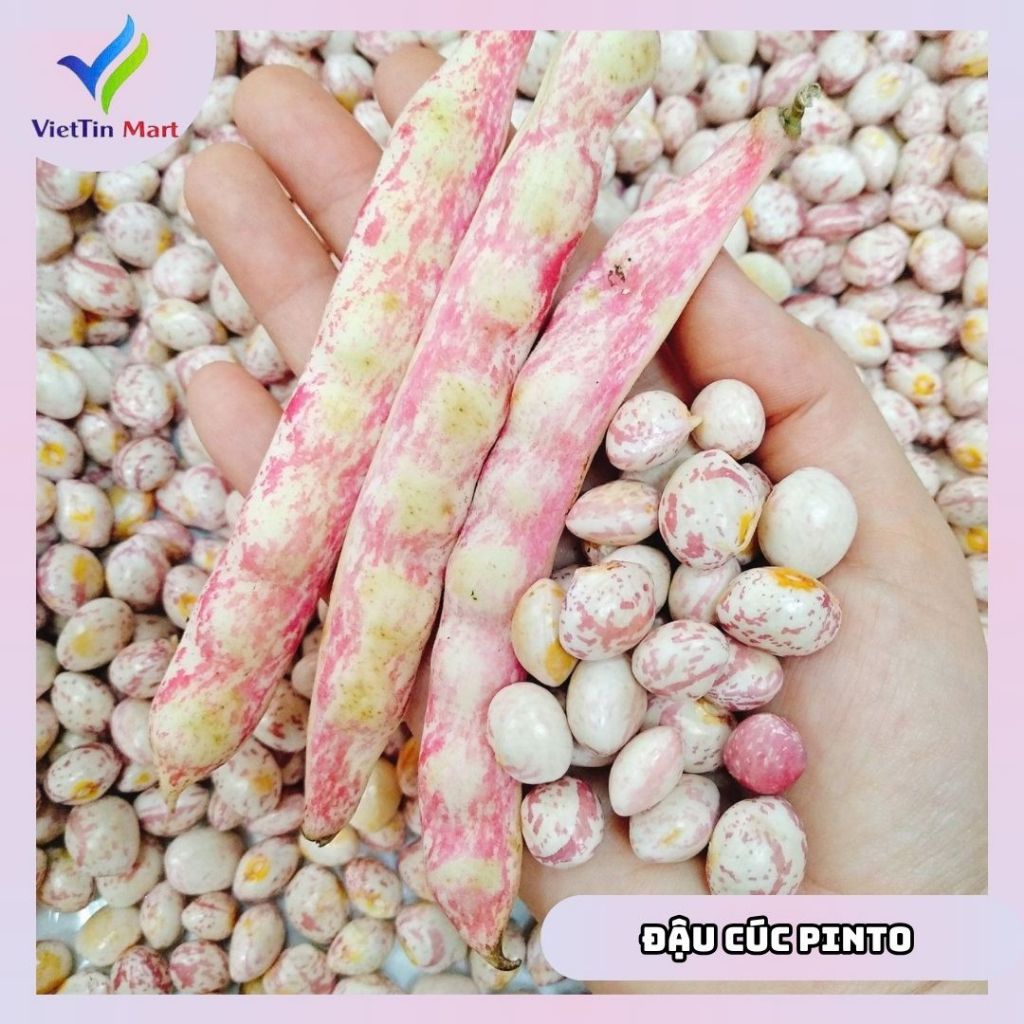 ĐẬU CÚC PINTO (hạt chưa chế biến) 1kg - Viettin Mart