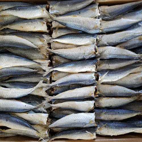 khô cá nục ngon rẻ 500gr