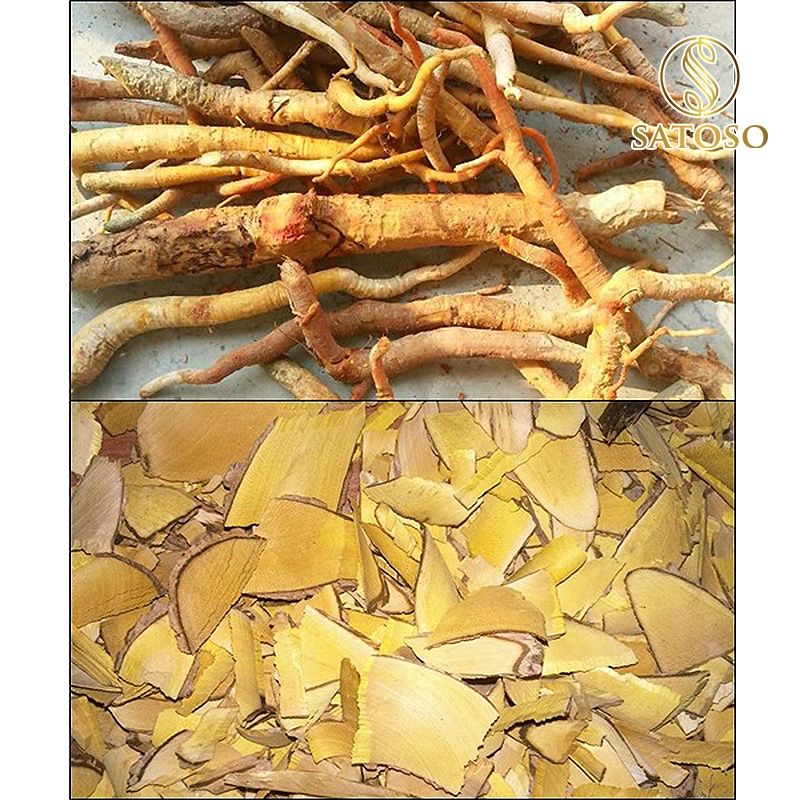 Rễ Mật Nhân thượng hạng SATOSO 1kg