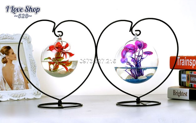 Bể cá mini để bàn hình trái tim mẫu 01 (Tặng Combo phụ kiện trang trí)