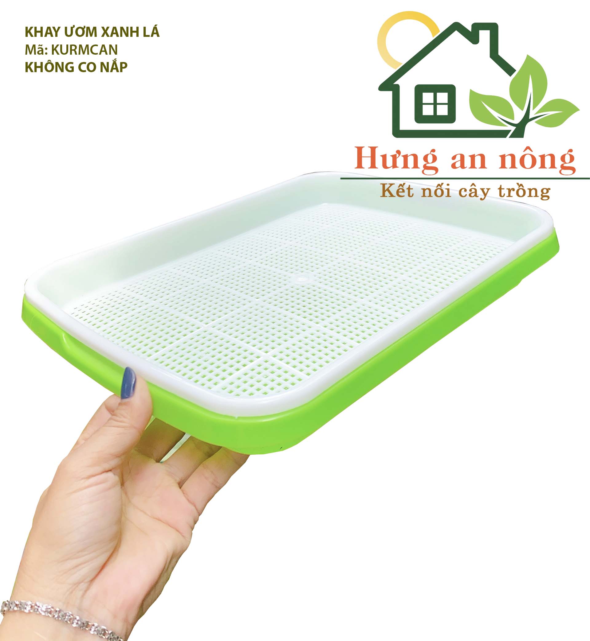 KURM5CM - khay nhựa chuyên trồng các loại rau mầm nắp bán riêng size 33.5x25x5cm