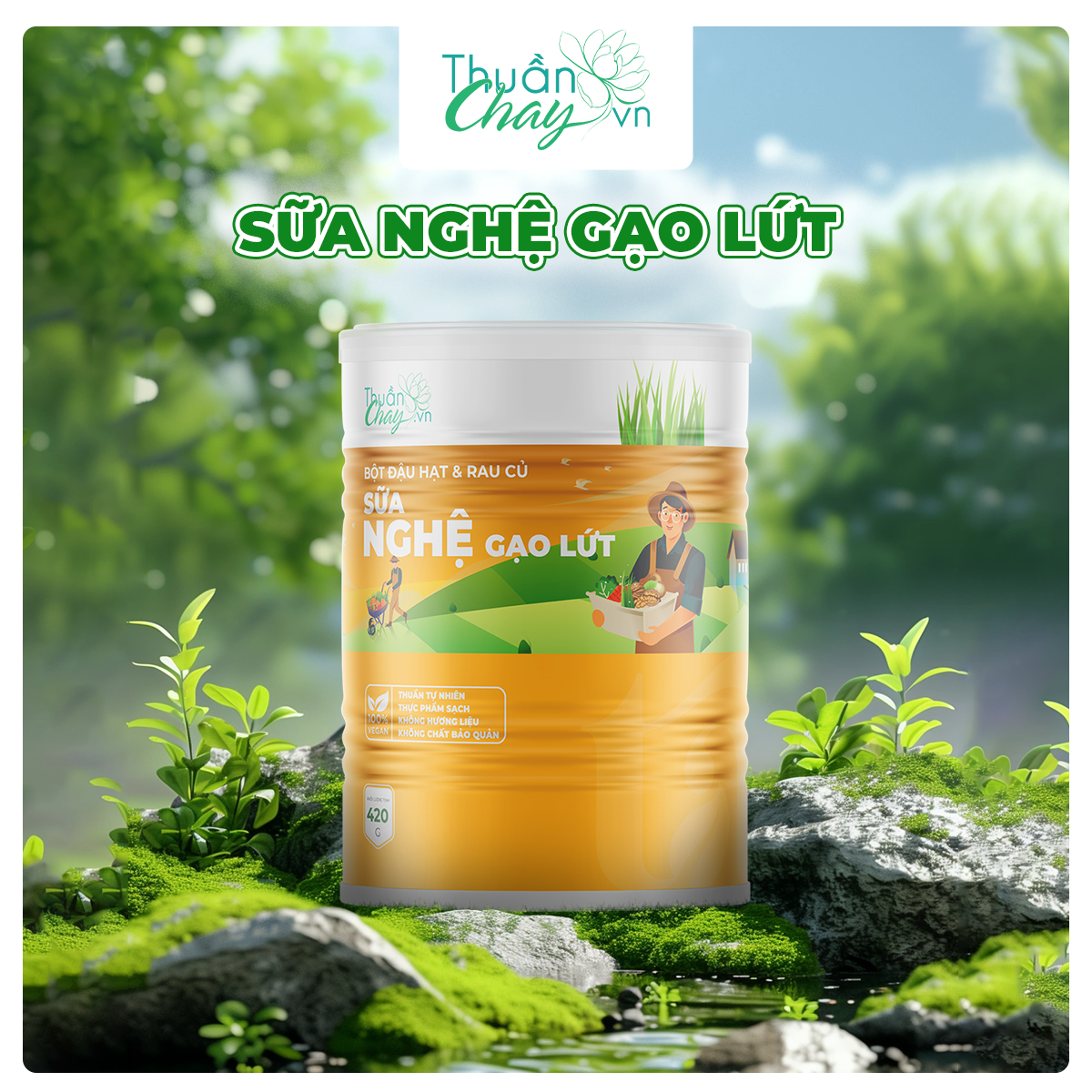 BỘT ĐẬU HẠT RAU CỦ NGHỆ GẠO LỨT - 420g