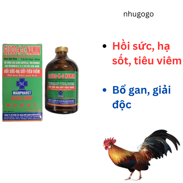 Gluco KC Namin 100ml gluco bổ sung cho vật nuôi