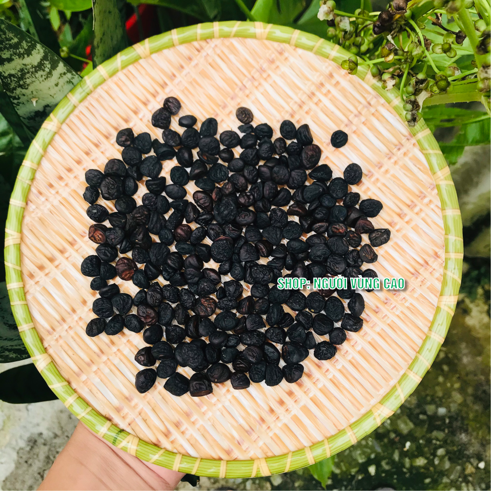 Combo Hạt Dổi  + Mắc Khén Rừng [Thơm, Ngon] - Gia Vị Tây Bắc - Làm Đồ Chấm, Ướp Thịt, Cá, Tiết Canh......