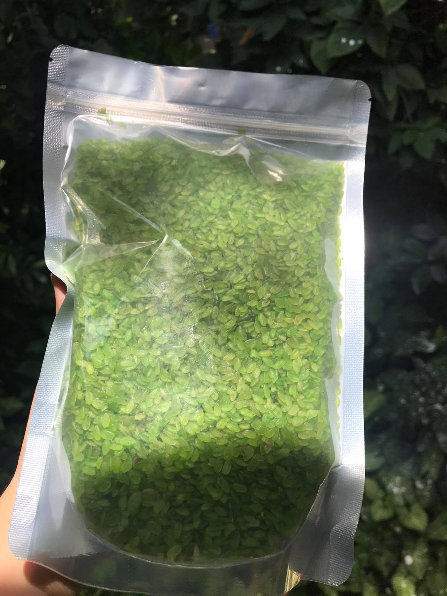 500G CỐM DẸP XANH ĐẶC SẢN LÀNG VÒNG