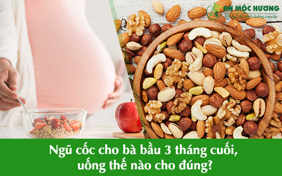 [Tặng kèm 1 tuýp sữa ông thọ đỏ] Ngũ Cốc Mẹ Bầu BiDo MaMa