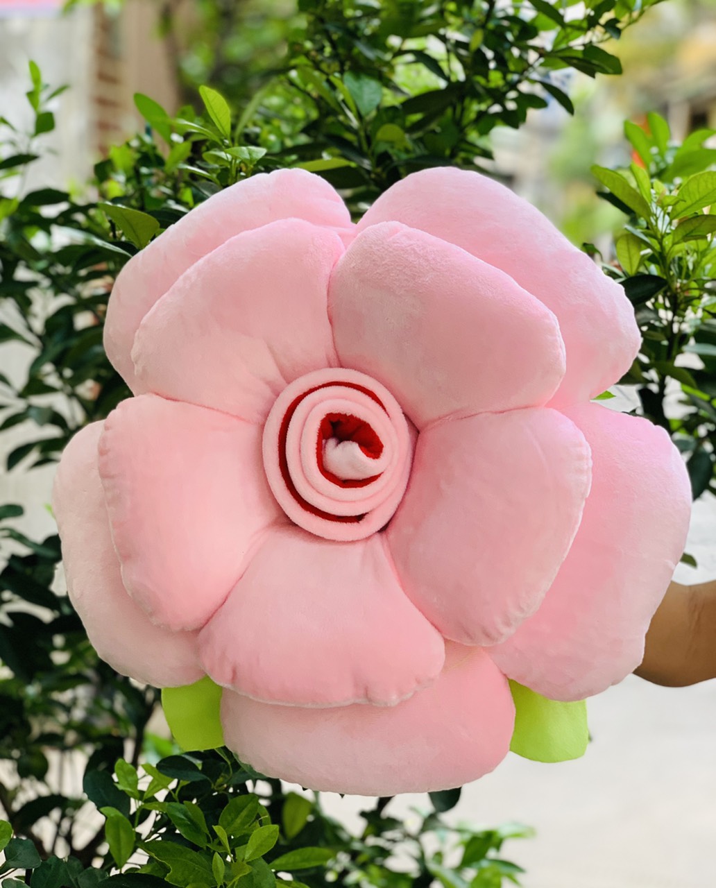 [HCM]Gối Tựa Lưng siêu Cute
