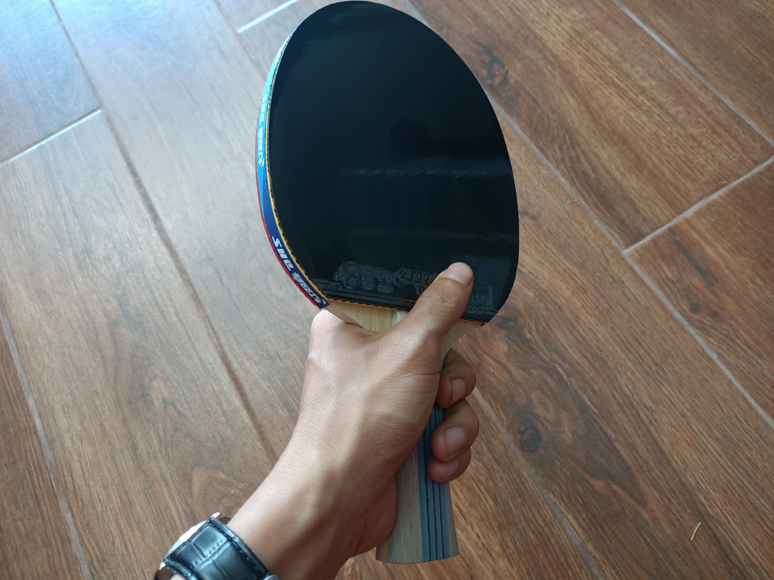 Vợt bóng bàn DHS-6002