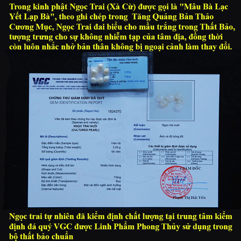 Bộ Cốt Thất Bảo, Cốt Bát Hương Bát Nhang[Hàng Chuẩn]