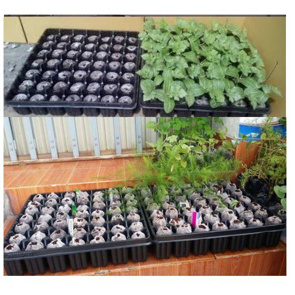 Viên Nén Xơ Dừa Ươm Hạt Giống (SET 10 viên)