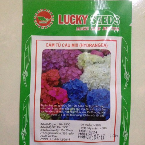 Hạt giống hoa Cẩm Tú Cầu mix