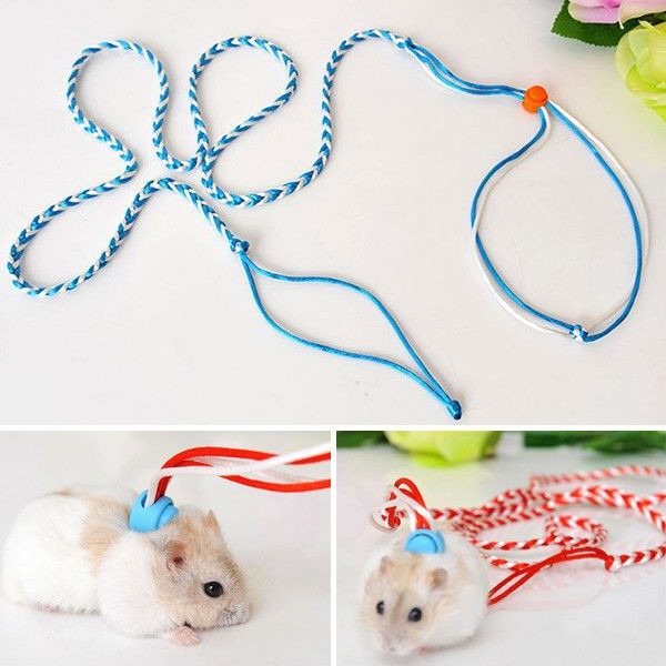 Dây dắt cho hamster