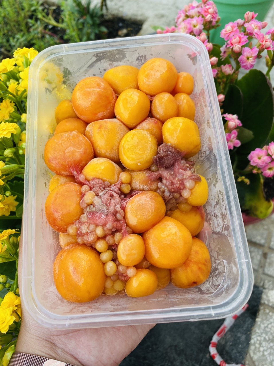 [GIAO NHANH 2H HCM] Giá sỉ 1Kg Trứng Gà Non