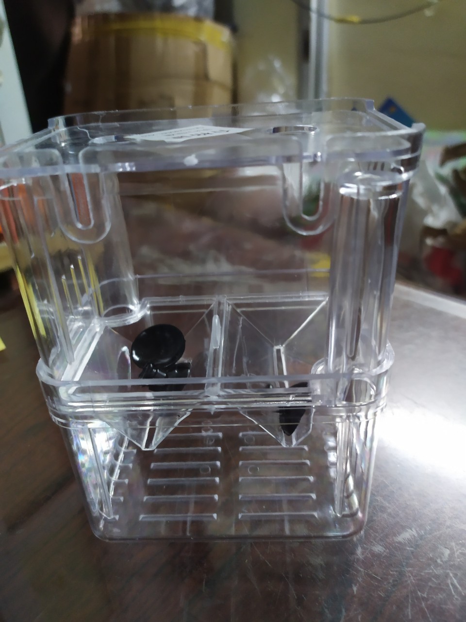 [HCM][Size vừa] Lồng Ép Cá Đẻ Tách Cá Bệnh