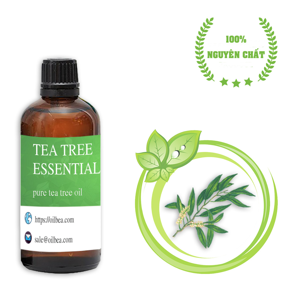 Tinh dầu tràm trà nguyên chất - tea tree oil