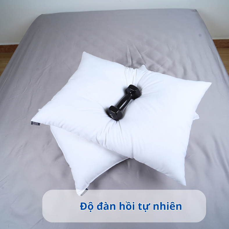 Bộ 5 món chăn ga lụa tencel 100s họa tiết thời trang CÔNG TY NỆM - mền hè thoáng khí, mịn màng