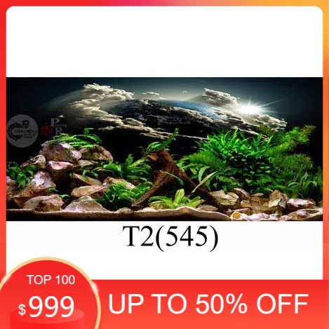 Tranh 3D dán bể cá cảnh hồ thuỷ sinh