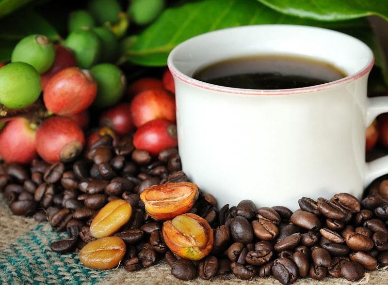 [Cà phê Ban Mê] Culi Robusta rang mộc 100% [cà phê pha máy] - Cà phê sạch. Combo 2 bịch 500gr