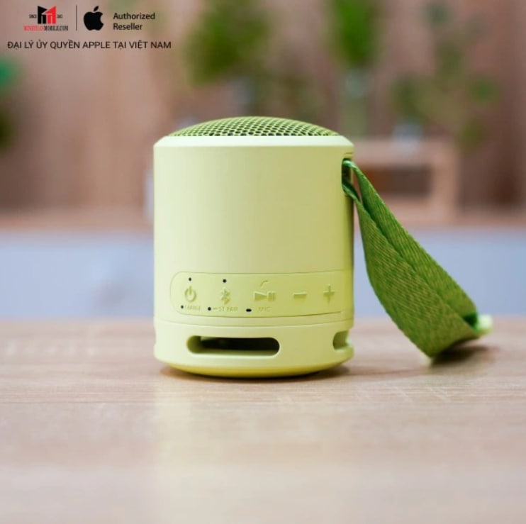 Loa Bluetooth Sony SRS-XB13