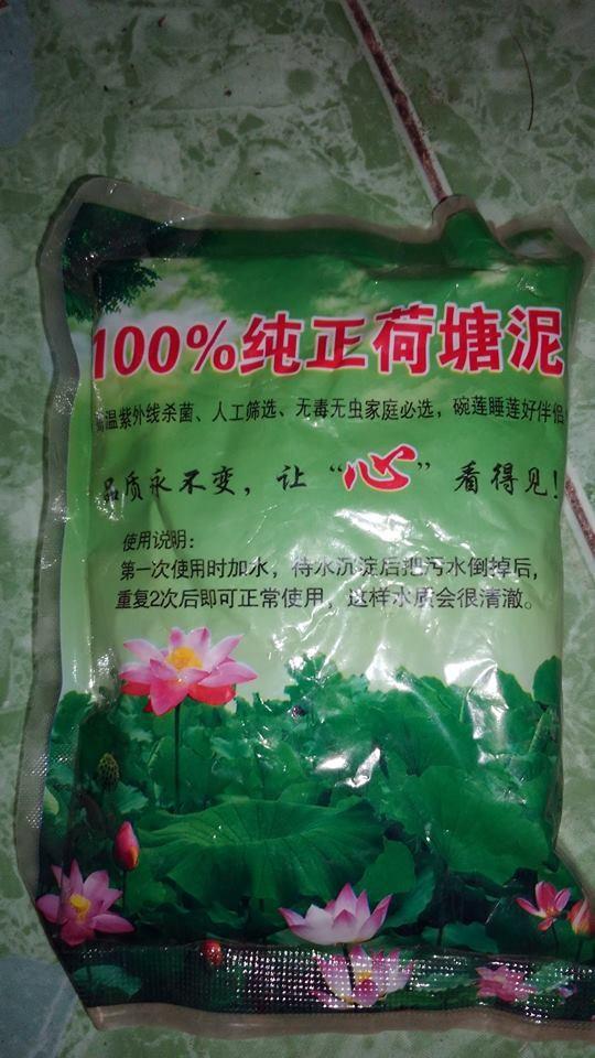 Gói 200gr bùn khô chuyên dùng trồng hoa sen sung mini kèm hướng dẫn - Thế giới rau mầm shop Sau 1 tháng lá đã mọc nhiều. Sau 2 tháng, ta có những bông hoa đầu tiên thơm ngát