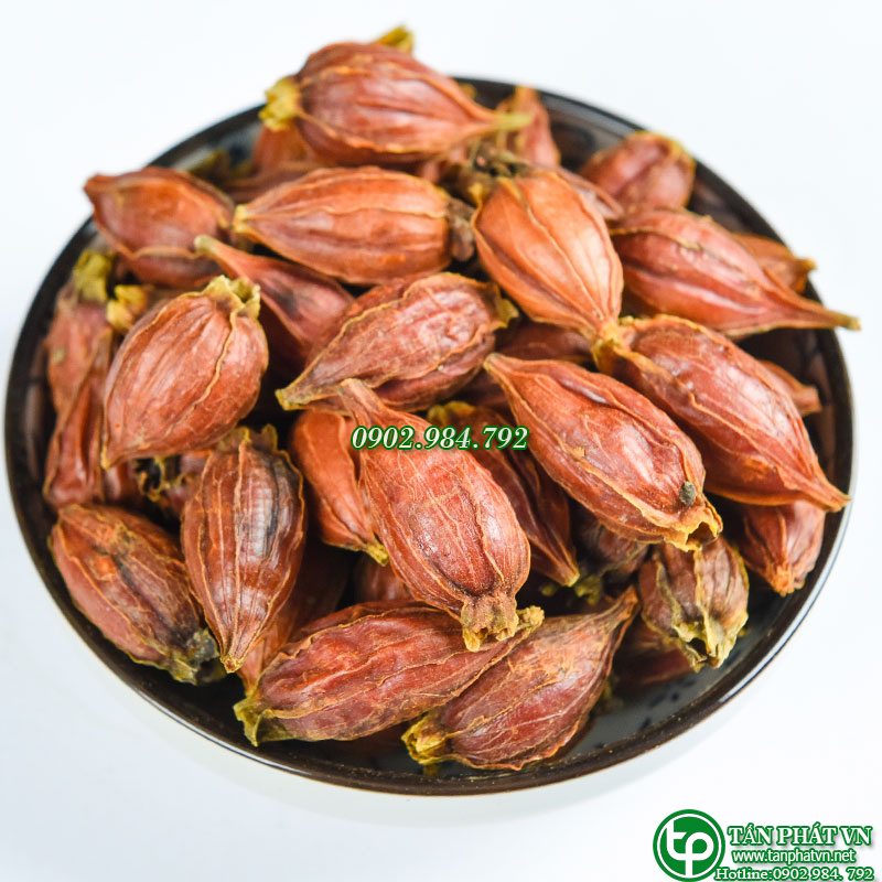 Quả dành dành khô 500g - Tấn Phát