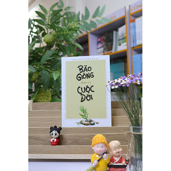 Bão Giông Mới Là Cuộc Đời