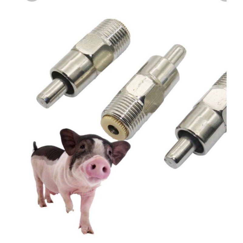 Núm cho lợn uống nước ( núm heo)