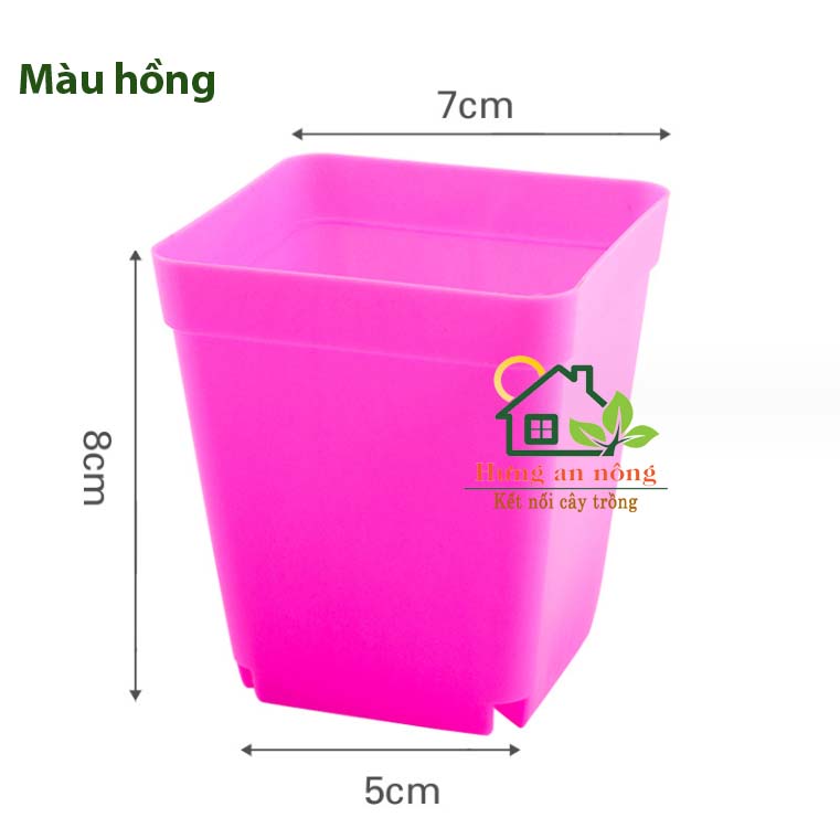CVL1 - Sét 50 chậu vuông nhựa PP chuyên trồng sen đá xương rồng bonsai cây để bàn size 7x7x8cm