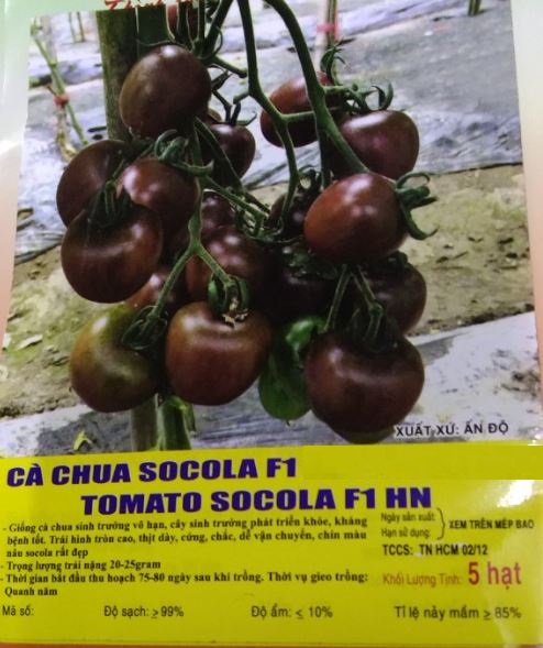 Hạt Cà Chua Socola F1 - Gói 5 Hạt