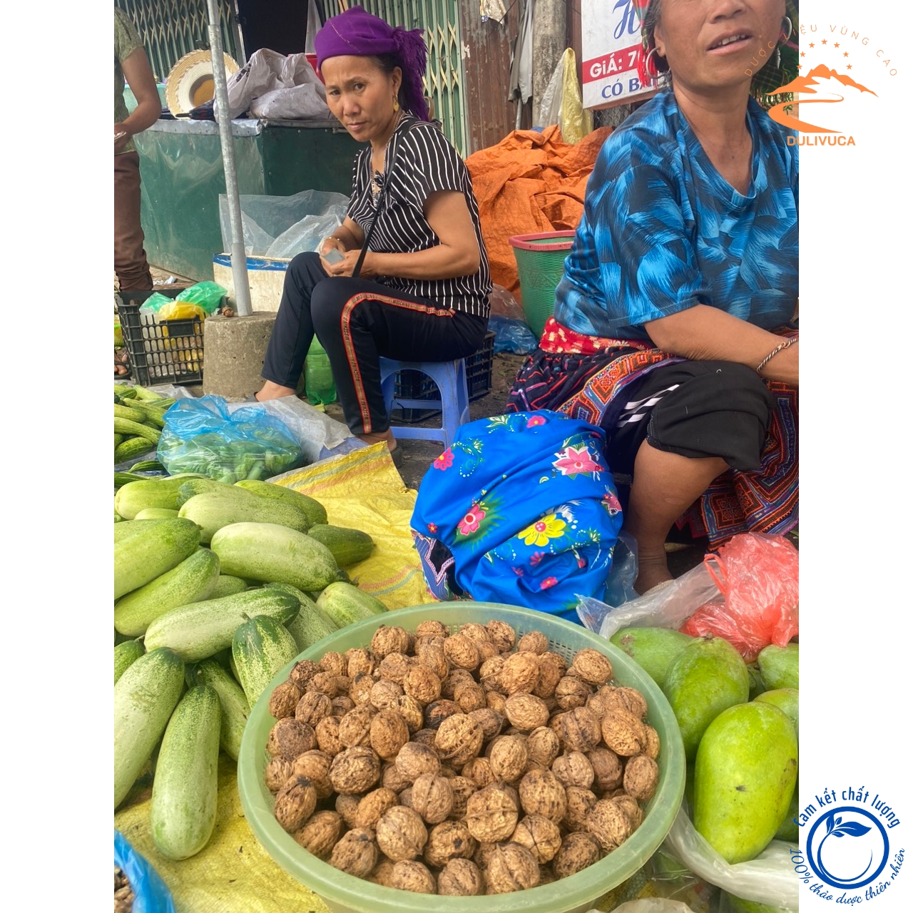 Óc chó nếp vàng, óc chó giấy loại 1, nguyên vỏ, chưa tách vỏ. Óc chó sống sấy khô óc chó tươi rừng Hà Giang, làm sữa hạt