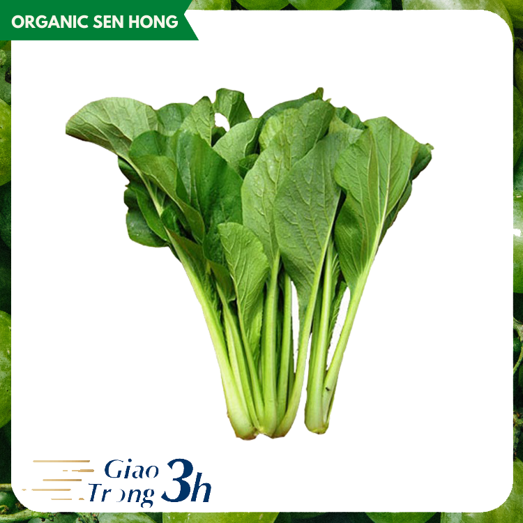 Cải ngọt Sen Hồng 1kg