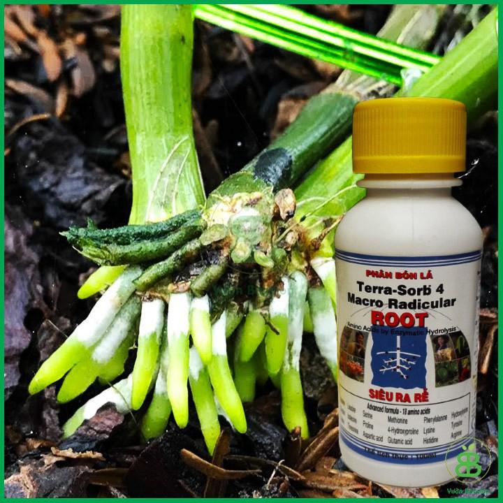 Phân Bón Lá Cao Cấp SIÊU RA RỄ Terra - Sorb 4 Root Chai 100ml