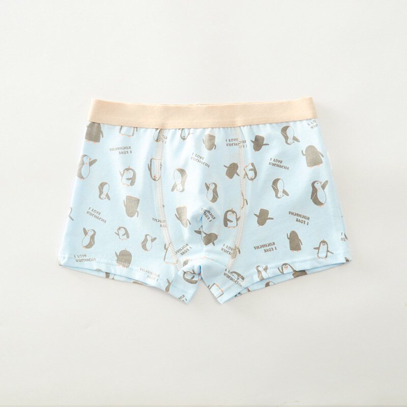 [HCM]Combo 4 quần sịp bé trai đủ size 7-45kg