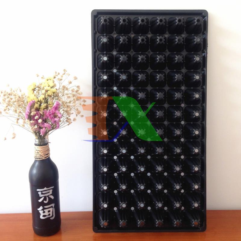 Bộ 5 khay ươm cây, khay ươm hạt, vỉ ươm (72 lỗ)