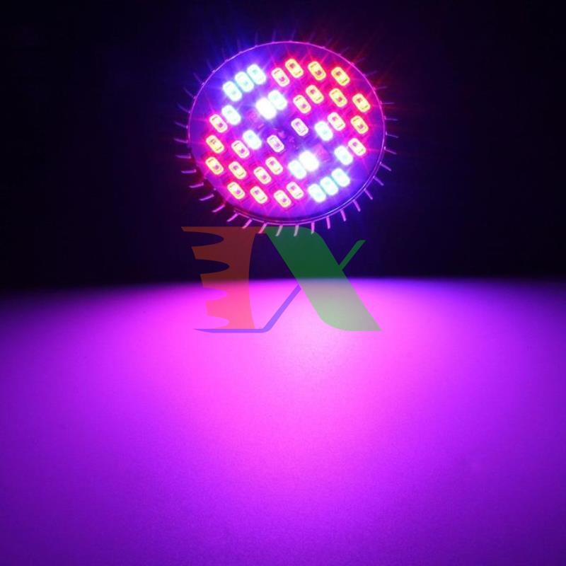 Led grow lights (30W, E27)