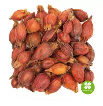 Hạt dành dành (gói 1kg) - DTX132