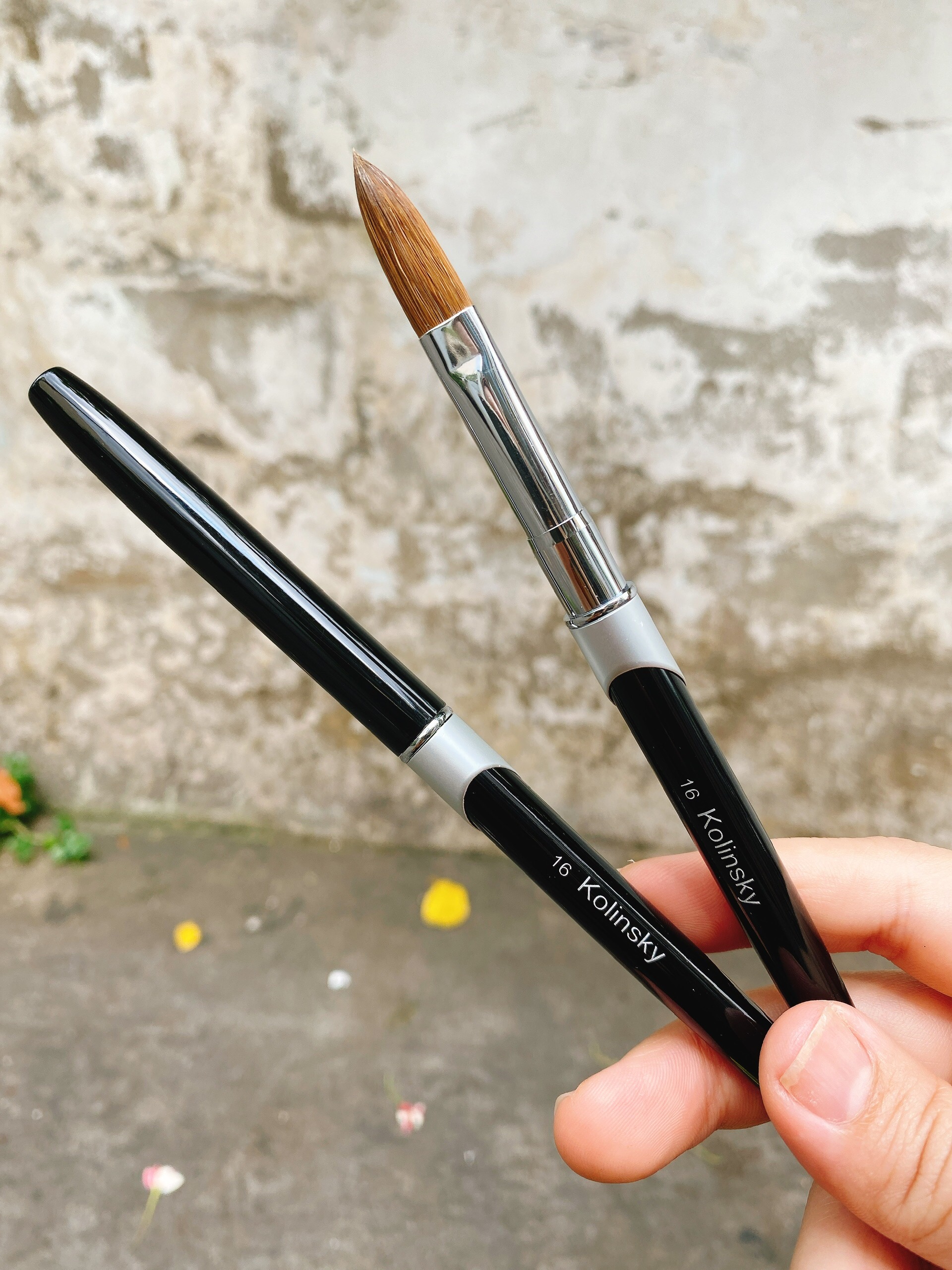 Cọ đắp bột lông chồn số 16 Kolinsky chính hãng cao cấp1145