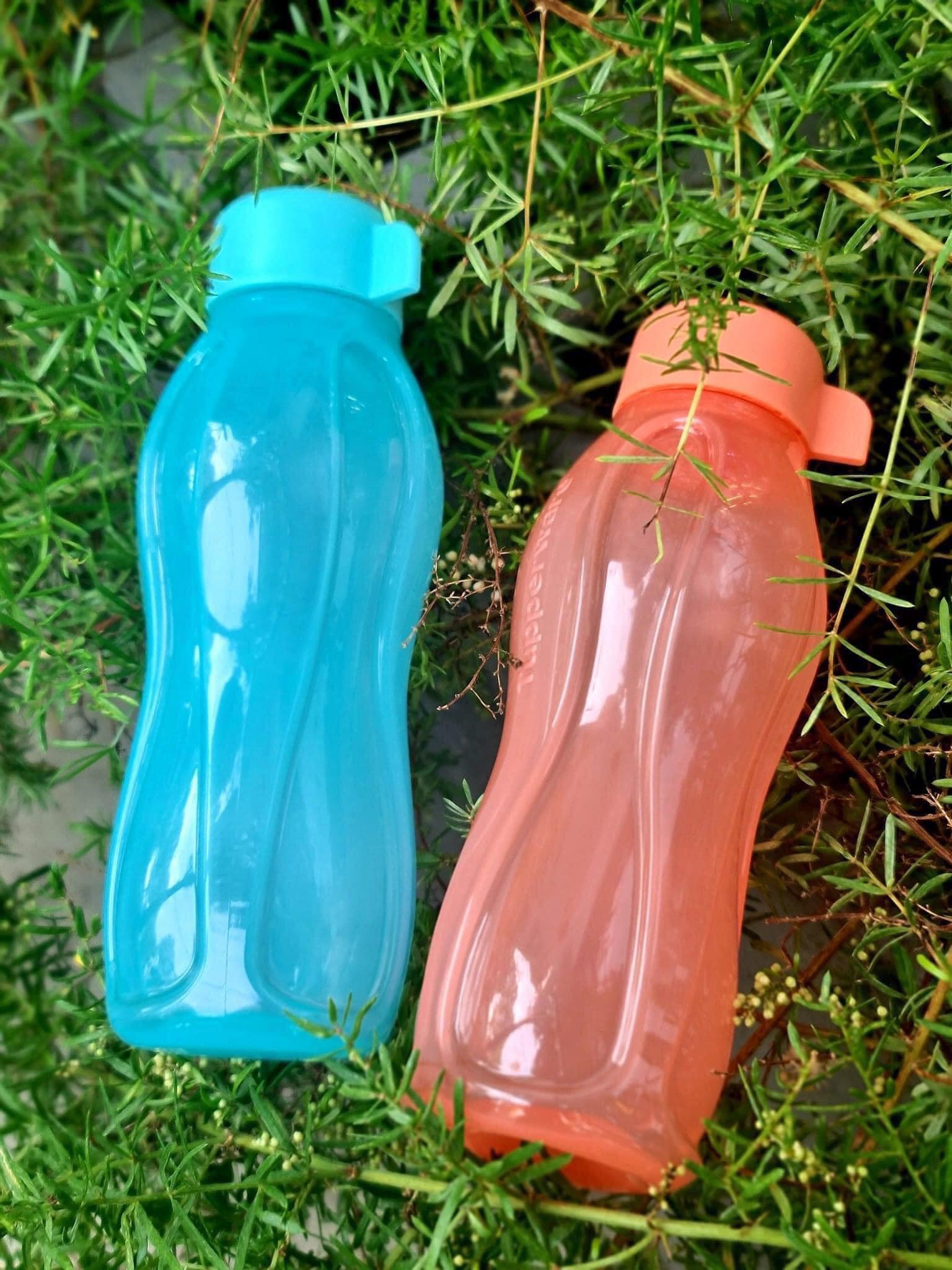 Bình nước Eco Bottle 310ml