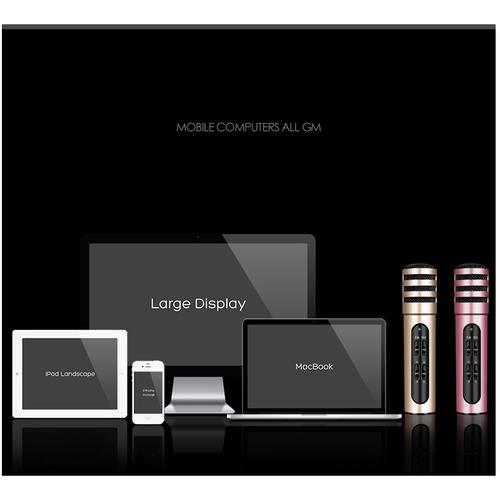 Mic Karaoke Live stream C6 3 in 1