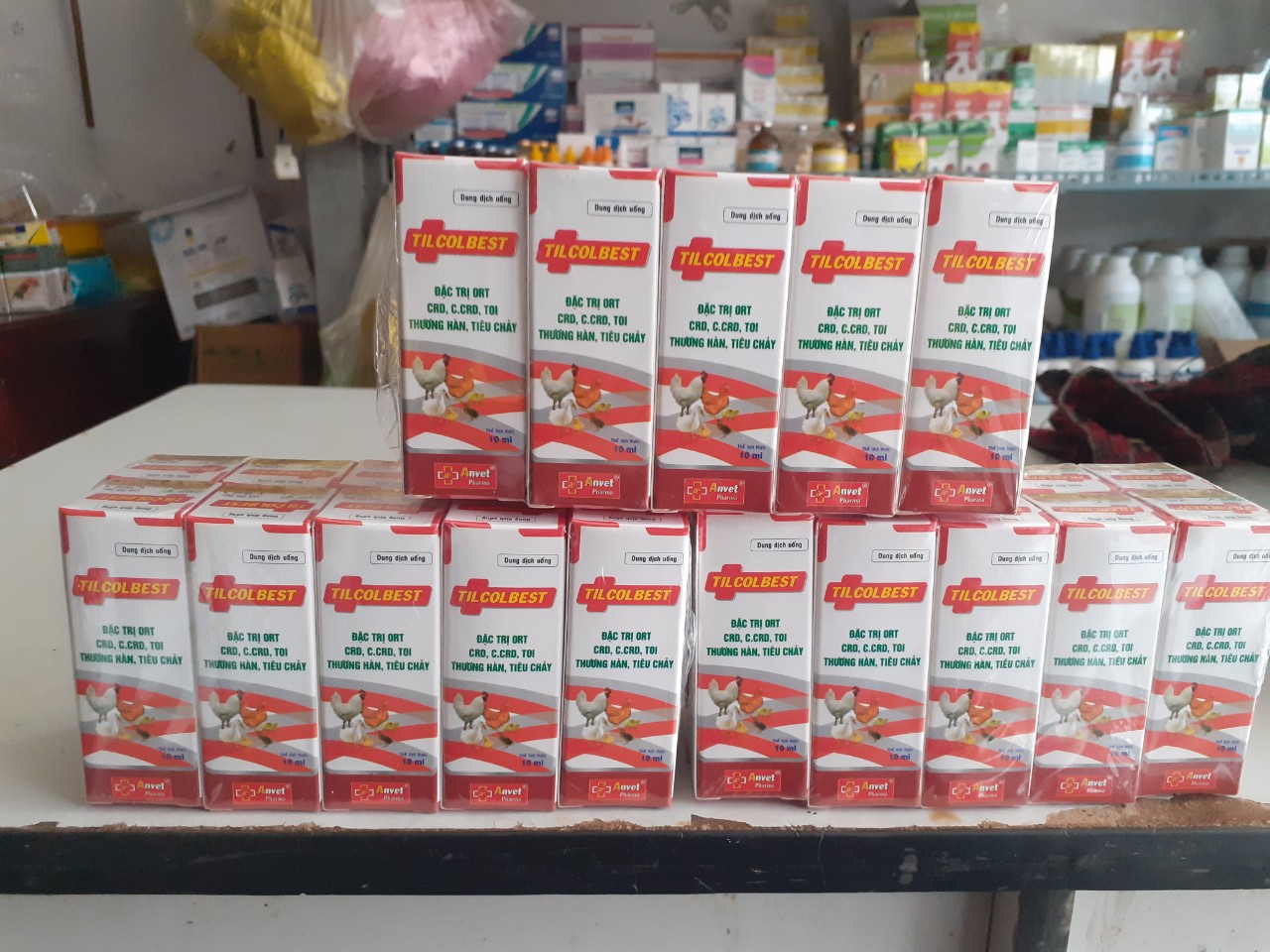 5 Lọ TILCOLBEST -  Trị hen khẹc - sưng mặt - chảy nước mắt Gà Đá